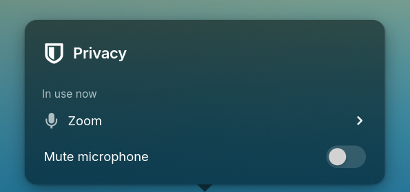 The privacy popover