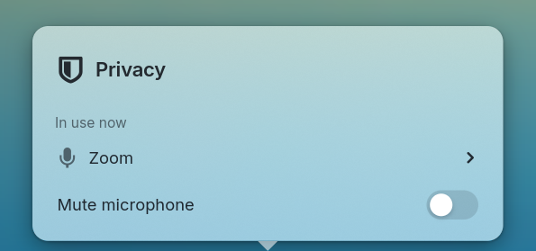 The privacy popover